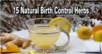 15 Natural Birth Control Herbs