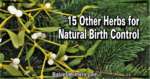 15 Other Herbs for Natural Birth Control