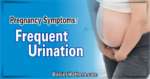 Pregnancy Symptoms, Frequent Urination