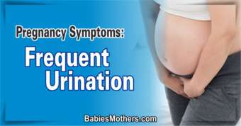 Pregnancy Symptoms, Frequent Urination