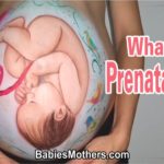 What are Prenatal Tests?