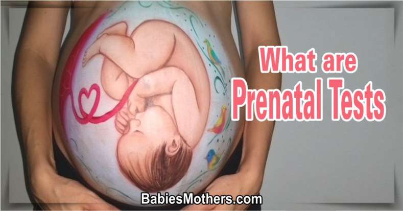 What are Prenatal Tests?